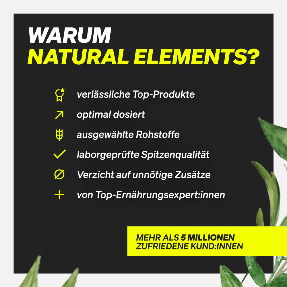 Vorschaubild 6